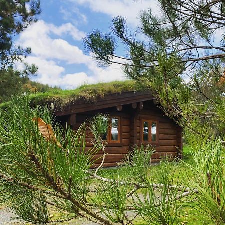 Log Home Village 울버스톤 외부 사진