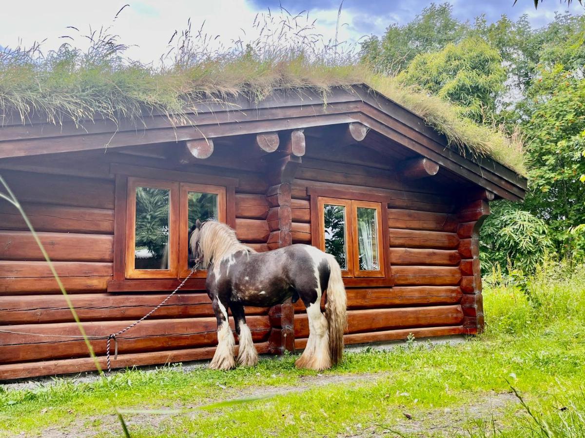 Log Home Village 울버스톤 외부 사진